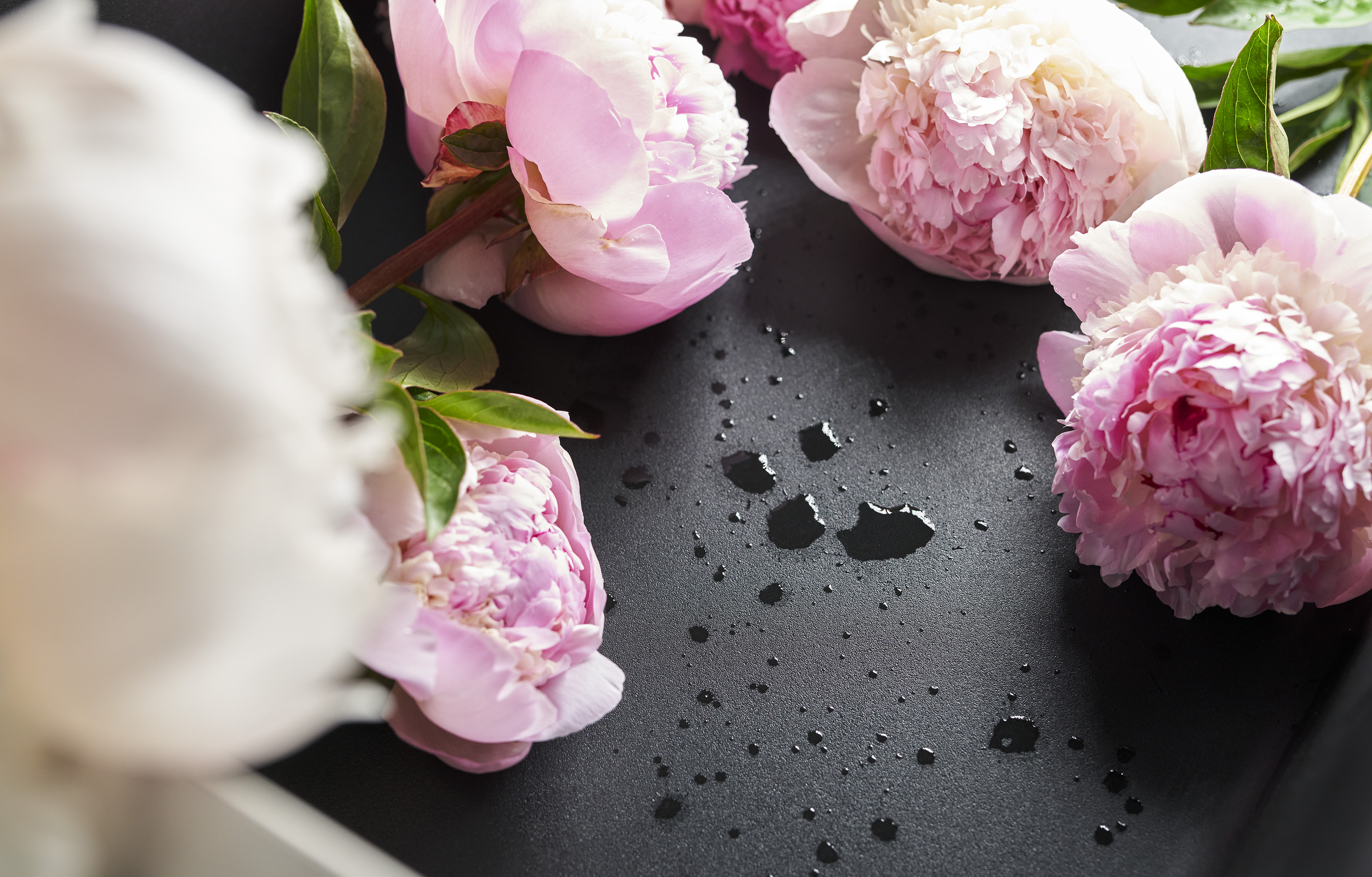 Schwarze Silgranit-Spüle mit frischen Blumen